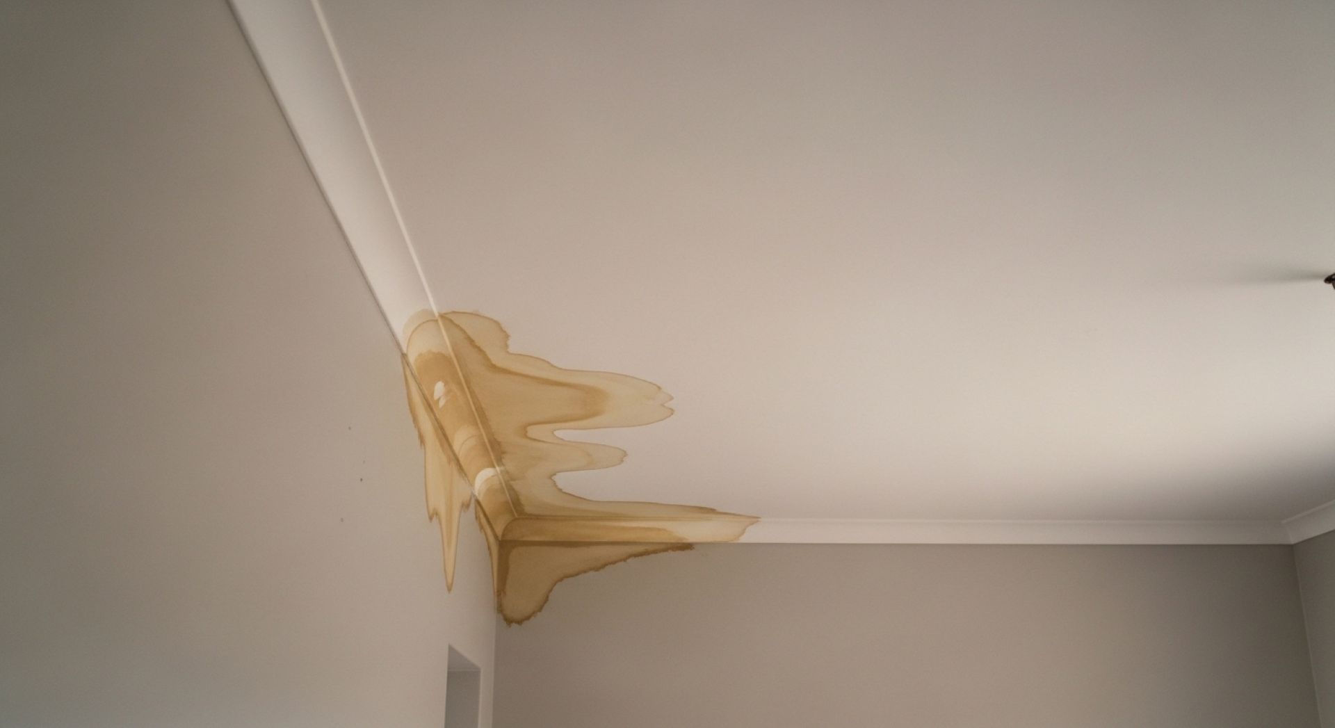 Early Signs Your Property Needs Waterproofing Attention