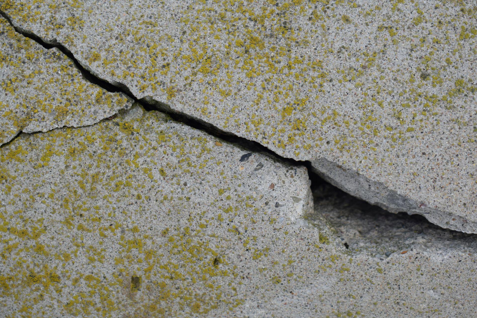 Why Proper Joint Sealing Prevents Structural Cracks